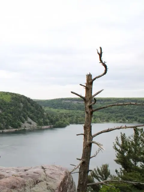 Photo partagée sur le profil